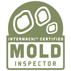 mold-inspector-logo-1546019081_